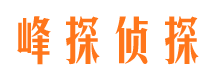 商城外遇出轨调查取证